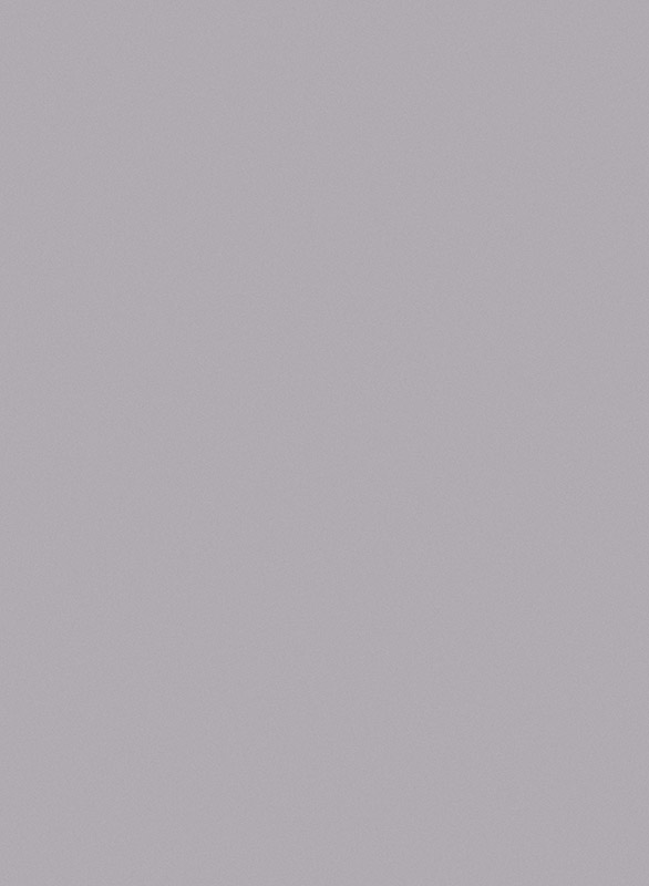 SFONDO 61